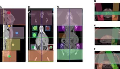 Feasibility of a Novel Sparse Orthogonal Collimator–Based Preclinical Total Marrow Irradiation for Enhanced Dosimetric Conformality